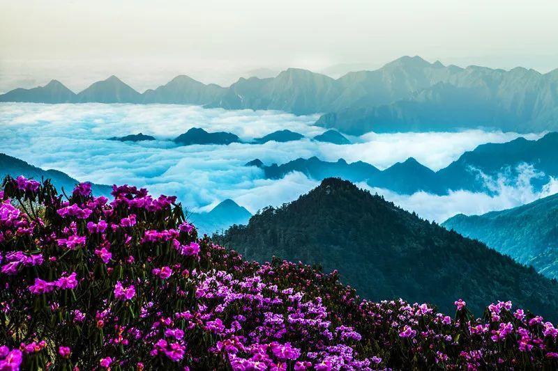 奥特曼兄弟历险记2